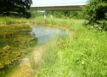 Compensation écologique de l'A16 LES ANGLES-EN CHESAL