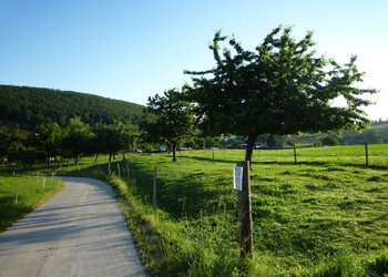 Paysage agricole à Rebeuvelier