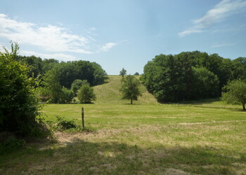 Paysage agricole du Mairâ