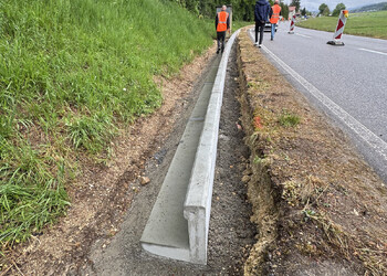 Travaux (mai 2026) - pose de la barrière de guidage des amphibiens