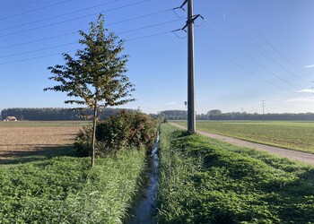Etat initial (octobre 2023) – Ecomorphologie nulle et conflits d’usages (secteur amont).