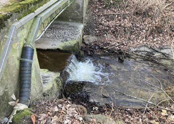 Etat initial (janvier 2022) – Rupture écologique sous l’ouvrage de franchissement (secteur aval).