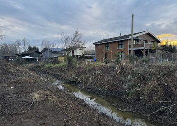 Travaux (février 2026) – directement après abattage, la berge au droit des habitations est minée par des anciens terriers de castor (secteur aval).
