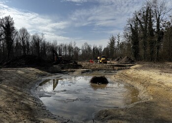 Travaux (mars 2026) – Début des terrassements des étangs forestiers (secteur aval).