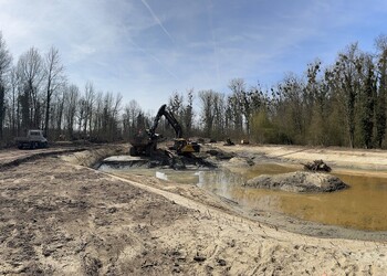Travaux (avril 2026) – Terrassements des étangs forestiers, aménagement d’îlots et de souches (secteur aval).