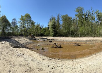 Travaux (avril 2026) – Terrassements des étangs forestiers, aménagement d’îlots et de souches (secteur aval).