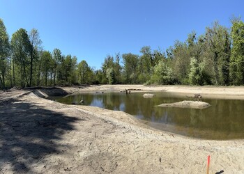 Travaux (avril 2026) – Mise en eau des étangs forestiers (secteur aval).
