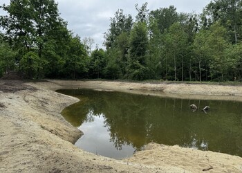 Travaux (mai 2026) – Remise en eau des étangs forestiers (secteur aval).