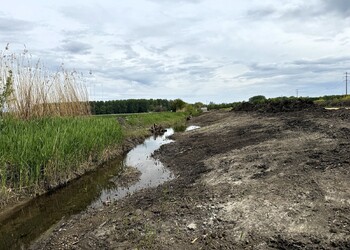 Revitalisation du Canal du Bey à Avenches (VD)