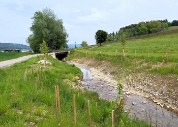 Etat réalisé (mai 2026) – La Pran : reprise de la végétation 1 an après les travaux dans le secteur du Pont Scheurer