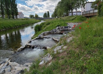 Etat réalisé (mai 2026) – 8 mois après la fin des travaux, développement de la végétation en cours