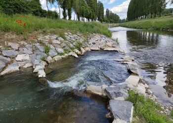 Etat réalisé (mai 2026) – 8 mois après travaux, l’appel pour les poissons est dorénavant plus marqué