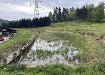 Etat initial (avril 2024) – Grand étang avant travaux, présentant des berges en bois ainsi qu’une étanchéité compromise.