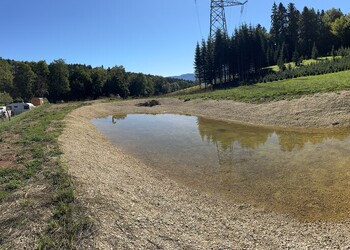 Création et réfection de plans d’eau en faveur du crapaud calamite à Boécourt (JU)