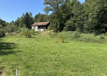 Etat initial (août 2024) - Parcelle privée voisine avant travaux