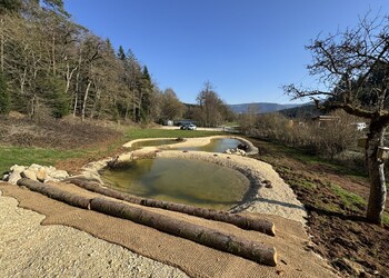 Etat réalisé (mars 2026) – Les mares sur la parcelle voisine ont été aménagée avec des souches et des murgiers pour renforcer l’attractivité pour l’ensemble des amphibiens.