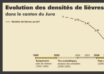 Evolution des densités de lièvres dans le canton du Jura