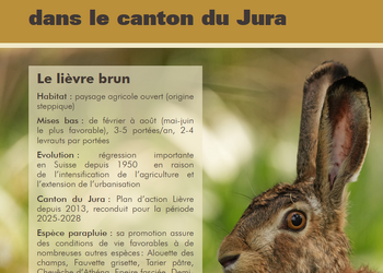 Page de titre du catalogue de mesures