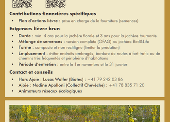 Exemple de mesure : SPB jachères florales ou tournantes