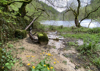 Site IBN Bellefontaine: Doubs