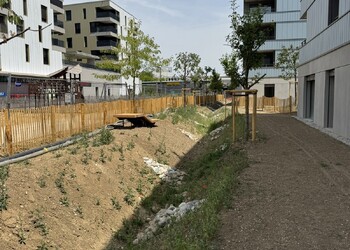Construction du quartier durable de Gruvatiez à Orbe, certifié SEED