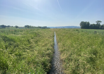 Etat initial en 2021