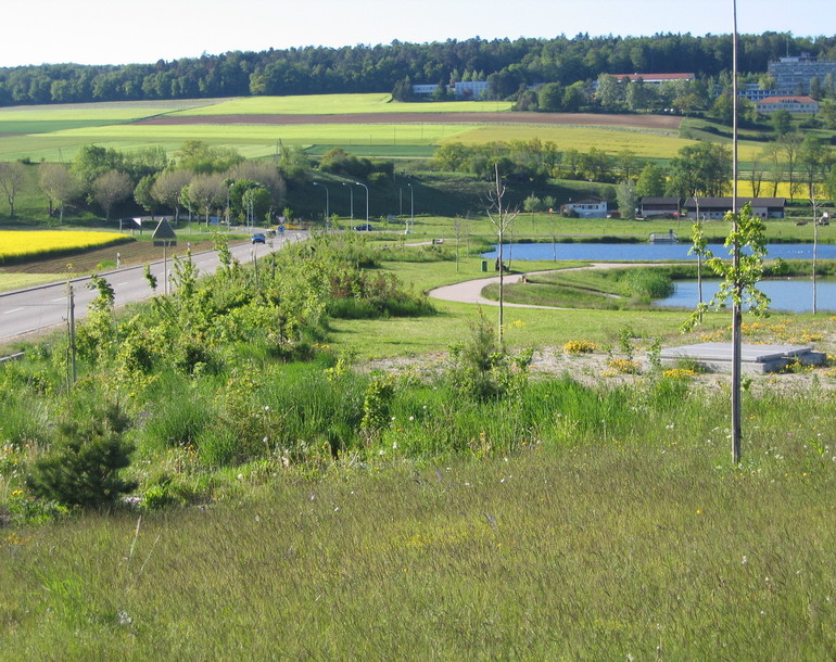 Intégration paysagère et ludique de besoins d'eau pluviale