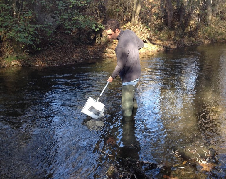 État biologique des cours d’eau