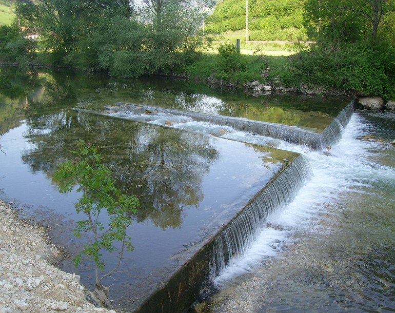 Passe à poissons