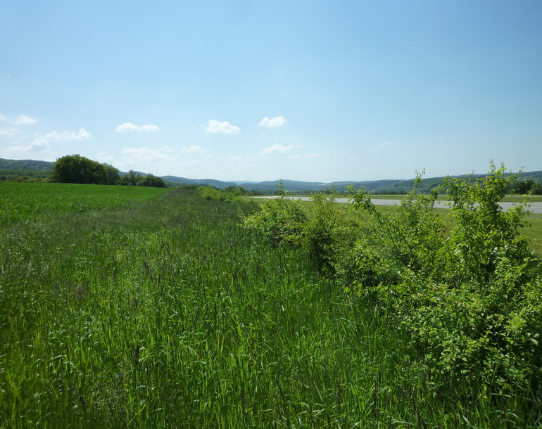 Suivi environnemental de réalisation 