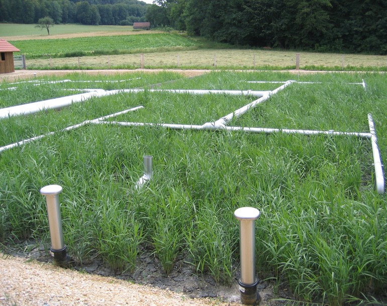 Station d‘épuration sur filtres plantés de roseaux 