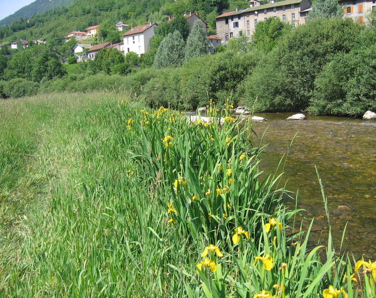 Déplacement de cours d’eau