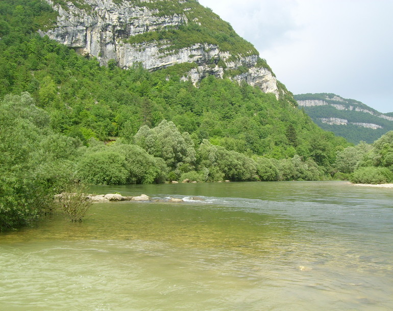 Stabilisation de berges