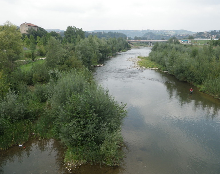 Stabilisation de berges