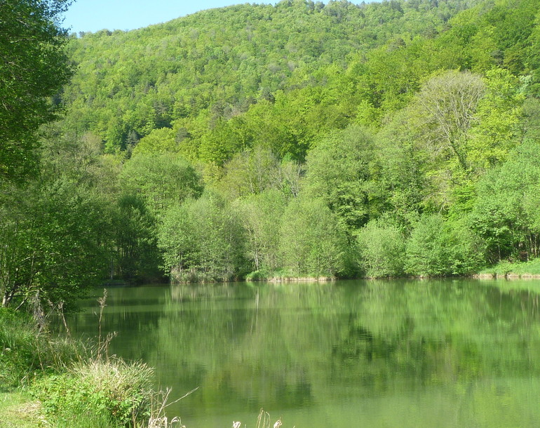 Combe de la Réselle à Soyhières