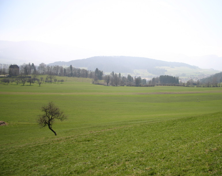 Etude d'impact sur l'environnement