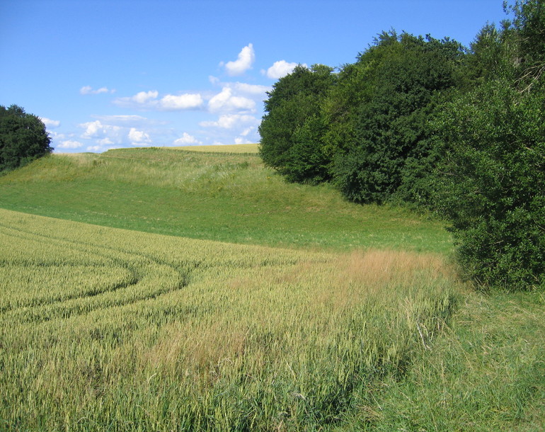 Etude d'impact sur l'environnement