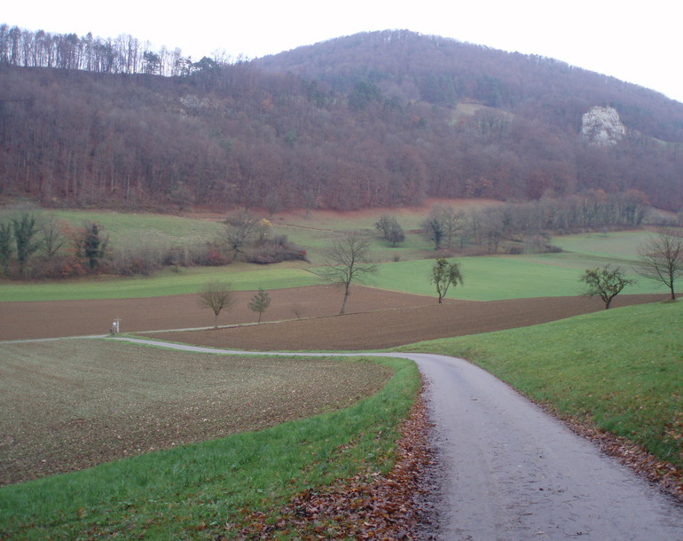 Etude d'impact sur l'environnement