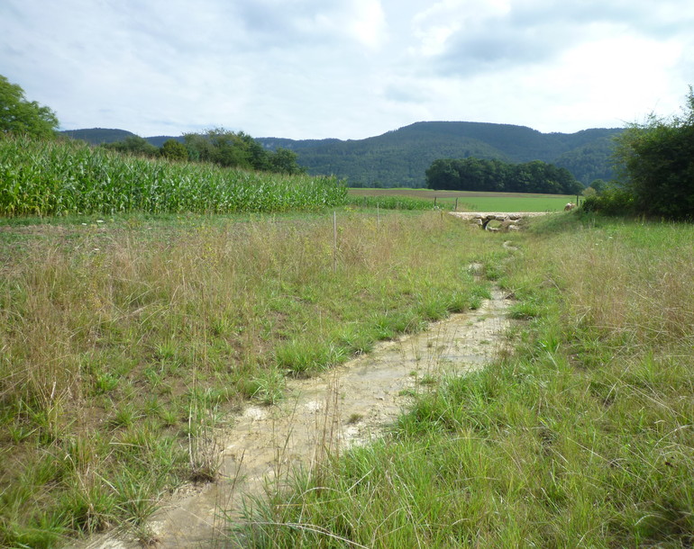 Etude nature et compensations écologiques