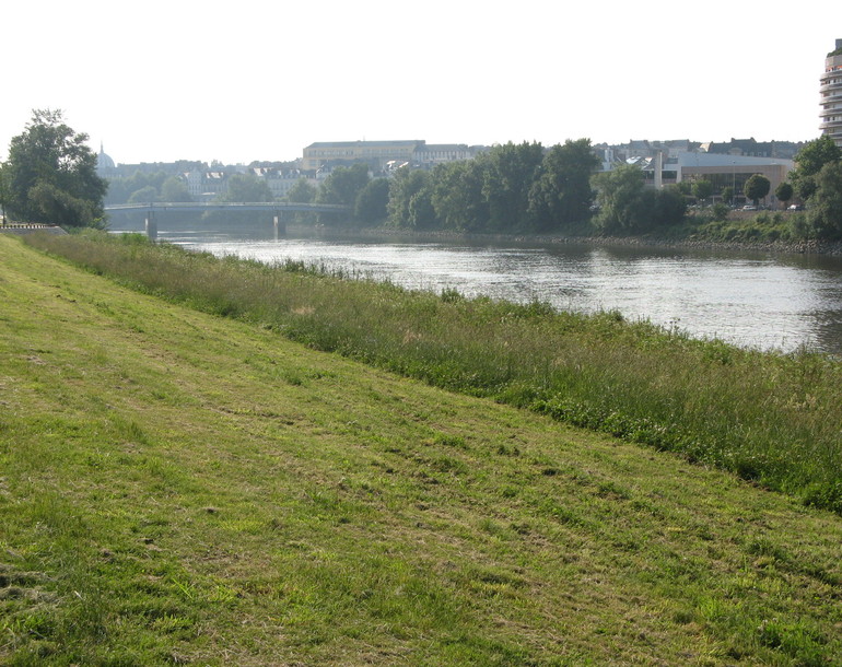 Aménagement d’une berge paysagère en ville