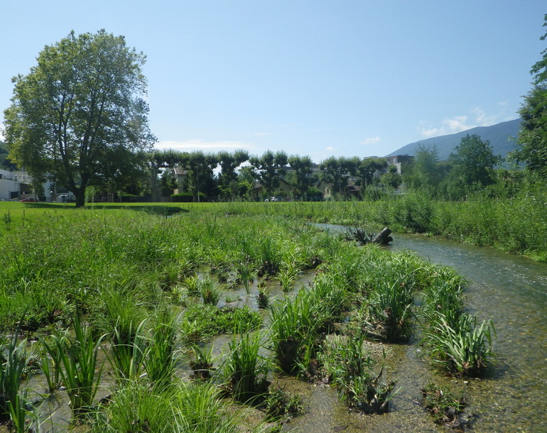 Création d’un nouveau cours d’eau en milieu urbain