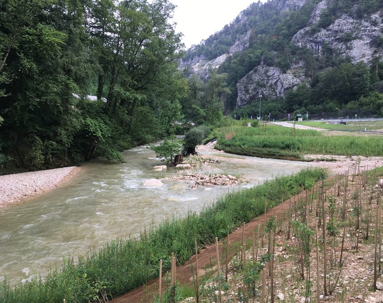 Revitalisation de cours d'eau