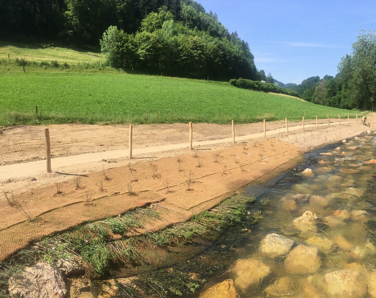Passe à poissons - Ruisseau de contournement à St.-Ursanne (JU)