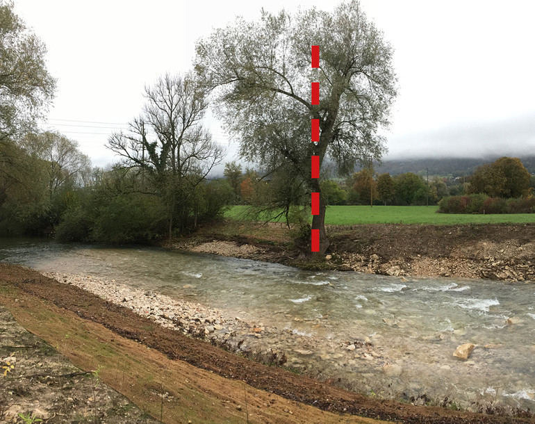 RESTAURATION DE LA LIBRE MIGRATION PISCICOLE PAR SUPPRESSION TOTALE DU SEUIL DES RONDEZ À COURROUX/DELÉMONT (JU)