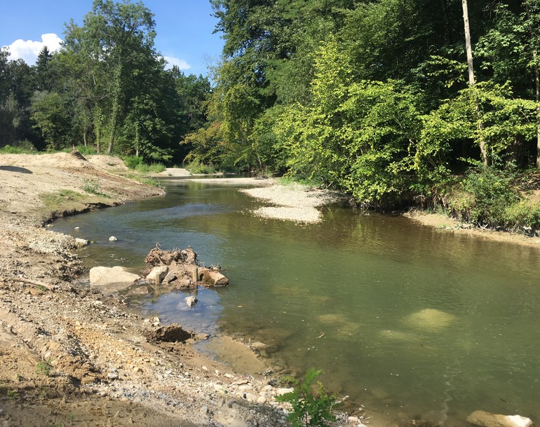 Revitalisation de cours d'eau