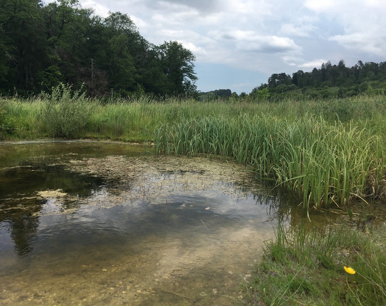 Compensation écologique A16