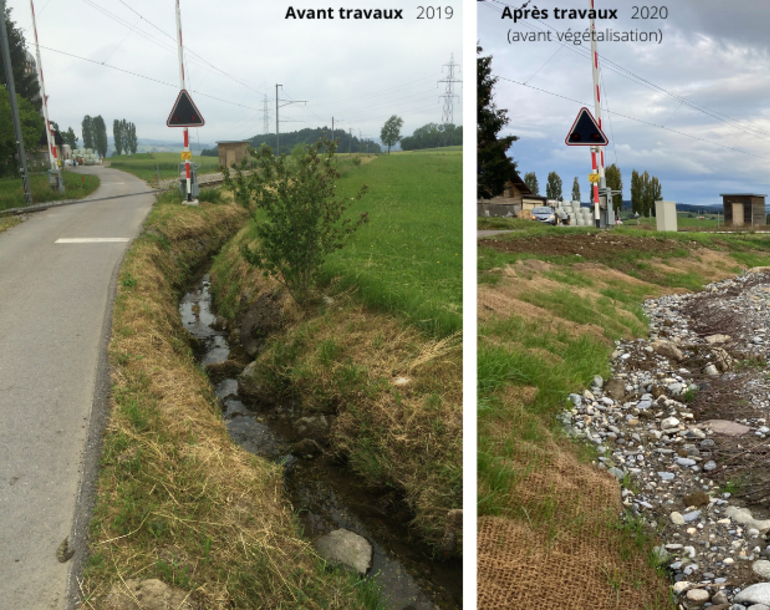 Revitalisation de ruisseaux