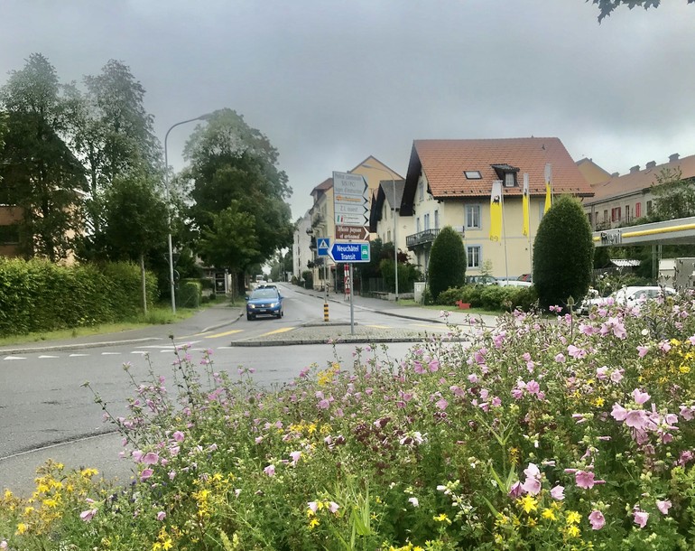 Délimitation des secteurs prioritaires pour la biodiversité sur les espaces verts des routes nationales (JU, NE, FR & BE)