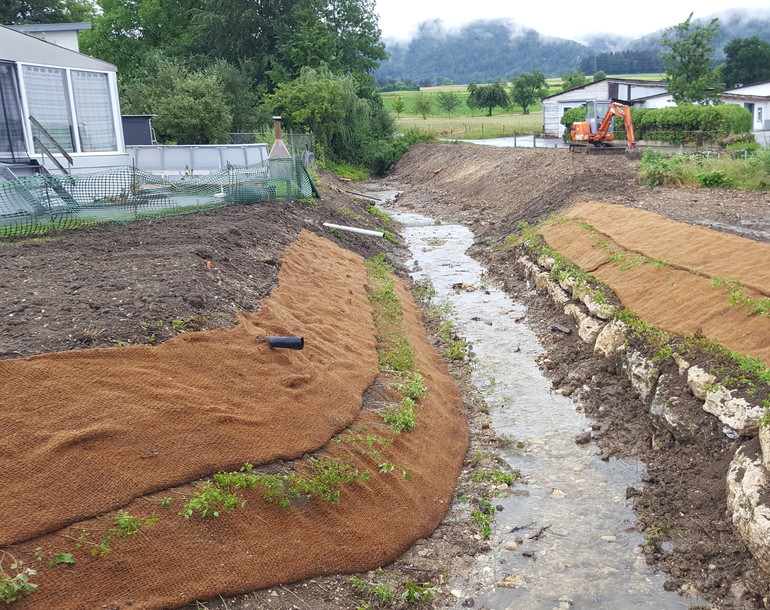 Revitalisation du ruisseau de Châtillon à Courtételle (JU)