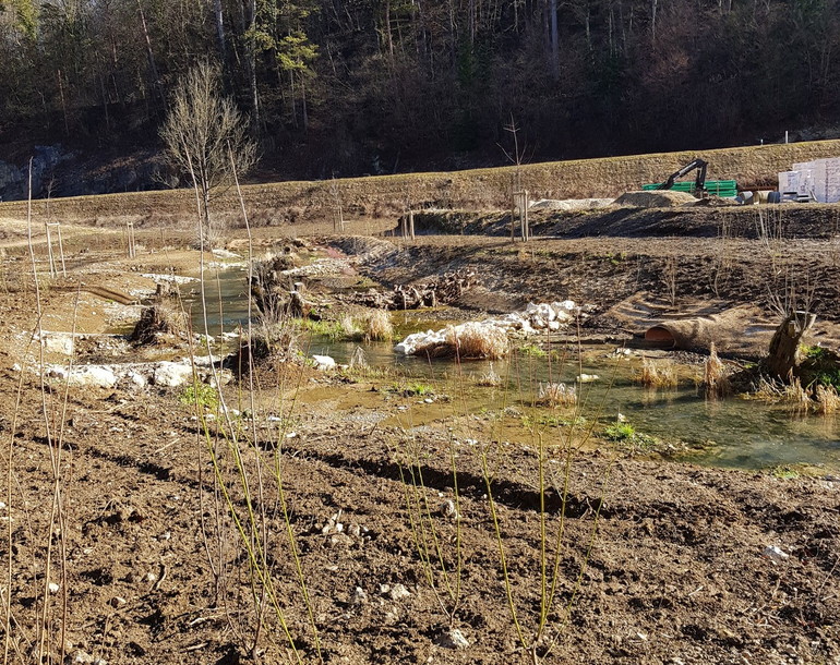 Protection contre les crues et de revitalisation du ruisseau du Voyeboeuf à Porrentruy (JU)